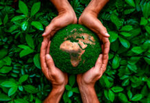 TerraPuri: Transparência Ambiental no Porto do Açu terrapuri