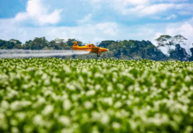 Brasil usa mais agrotóxicos que Estados Unidos e China juntos