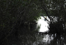 Aspectos naturais e culturais de Barra do Furado (final)