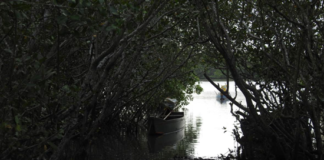 Aspectos naturais e culturais de Barra do Furado (final)