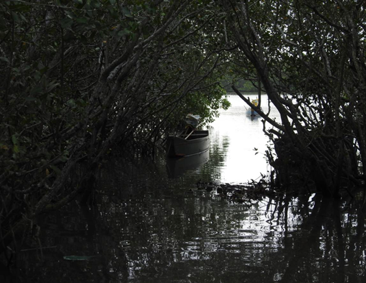 Aspectos naturais e culturais de Barra do Furado (final)