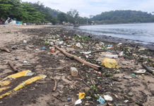 Praia de Paquetá amanhece forrada de lixo