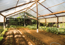 Ecovilas sinalizam novas possibilidades de convivência