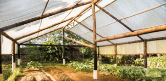 Ecovilas sinalizam novas possibilidades de convivência