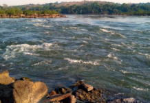 Pesquisa da UFMT aponta contaminação de 98% dos peixes em rios da bacia amazônica