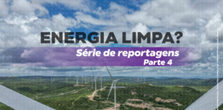 Eólicas provocam insegurança alimentar e morte de animais, alertam entidades