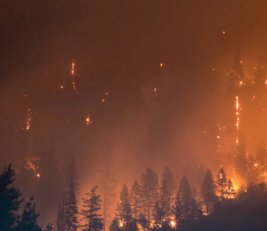 Pacto Contra a Fome: Crise Climática