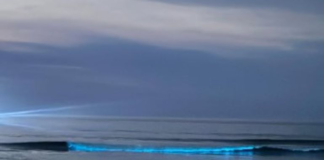 Fenômeno raro encanta banhistas na Praia Grande de Arraial do Cabo