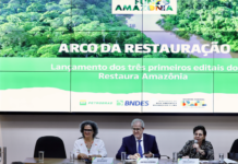 MMA e BNDES lançam os primeiros editais para restauração da Amazônia