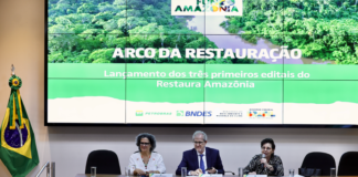 MMA e BNDES lançam os primeiros editais para restauração da Amazônia