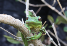 Programa Ecológico de Longa Duração terá 51 sítios em todos os biomas e regiões do país; confira o resultado