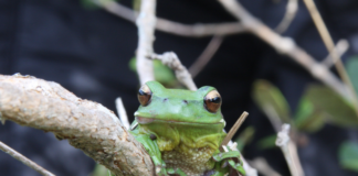 Programa Ecológico de Longa Duração terá 51 sítios em todos os biomas e regiões do país; confira o resultado