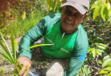 O restaurador de nascentes que já plantou 1 milhão de mudas