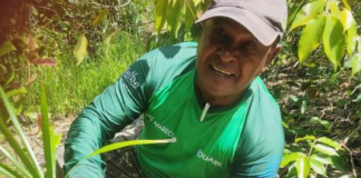 O restaurador de nascentes que já plantou 1 milhão de mudas