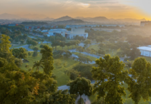 UFRJ é reconhecida como a universidade federal mais sustentável do Brasil