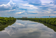 Baía de Guanabara sobrevive pela defesa de ativistas e ambientalistas