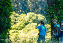 Desafio do Plantio das 100 mil árvores: Novos registros de plantio dos escoteiros pelo Brasil