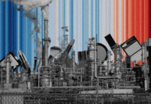 Greenwashing no governo, nas empresas e na COP: o que é e como identificar?