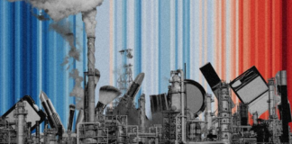 Greenwashing no governo, nas empresas e na COP: o que é e como identificar?