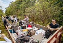 Equipe brasileira é destaque em desafio de mapeamento da biodiversidade em florestas tropicais