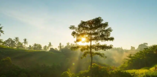 AGU aprova parecer para destinar indenizações a fundos ambientais e climáticos