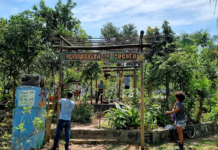 Agrofloresta comunitária no Rio sustenta pássaros, abelhas e pessoas