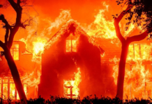 Não aqui. Não assim