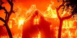 Não aqui. Não assim