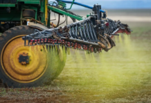 China suspende importação de soja de cinco empresas brasileiras por contaminação com agrotóxicos