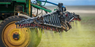 China suspende importação de soja de cinco empresas brasileiras por contaminação com agrotóxicos