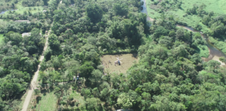 Comunidade do MST investe em agrofloresta e cria ‘paraíso verde’ no Paraná