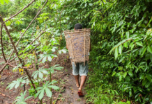 Reconectar com a natureza para evitar o fim do mundo