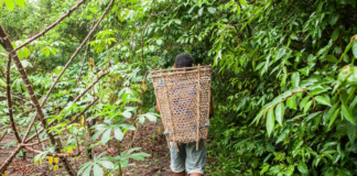 Reconectar com a natureza para evitar o fim do mundo