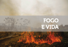 Fogo e vida