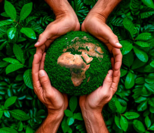 Da inauguração da plataforma ao lançamento do documentário: o ano em que os projetos saíram do papel