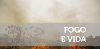 Fogo e vida