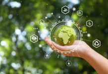 O que são os empregos verdes? Entenda como o mercado de trabalho está se adaptando às demandas da sustentabilidade