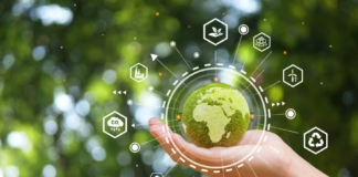 O que são os empregos verdes? Entenda como o mercado de trabalho está se adaptando às demandas da sustentabilidade