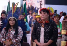 Órgãos indígenas do governo reagem a “anteprojeto” elaborado no STF