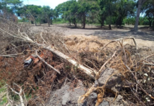 Polícia encontra área de 20 mil metros quadrados desmatada, em Campos