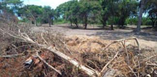 Polícia encontra área de 20 mil metros quadrados desmatada, em Campos