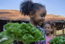 Cinco vezes agroecologia: experiências no Rio de Janeiro