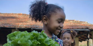 Cinco vezes agroecologia: experiências no Rio de Janeiro