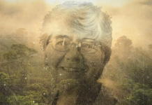 Dorothy Stang: santa ou onça?