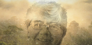 Dorothy Stang: santa ou onça?