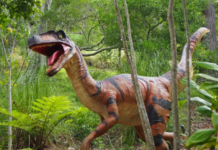 Prefeitura de Iguaba Grande inicia a inspeção do espaço que receberá a Ilha dos Dinossauros