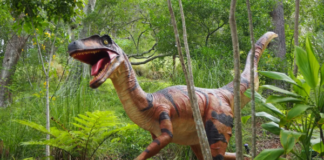 Prefeitura de Iguaba Grande inicia a inspeção do espaço que receberá a Ilha dos Dinossauros