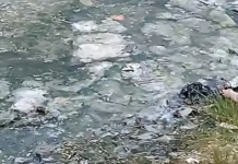 Moradores de São Pedro denunciam o que chamam de “colapso da Lagoa de Araruama”