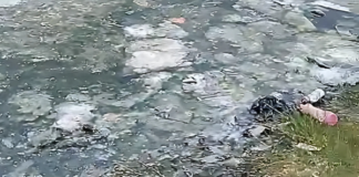 Moradores de São Pedro denunciam o que chamam de “colapso da Lagoa de Araruama”