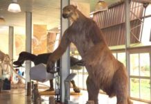 Mudanças climáticas naturais e antrópicas